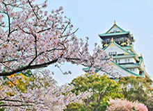 中甲两队换帅:日本教练接手平果 深足名宿重回南狮